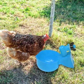 6шт. поилка для птицы, пластиковая автоматическая чаша для питьевой воды для птицы, практичные Удобные инструменты для кормления сельскохозяйственных животных
