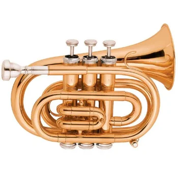 Трубы Покрытые Золотым Лаком Карманные Трубы Tone Bb